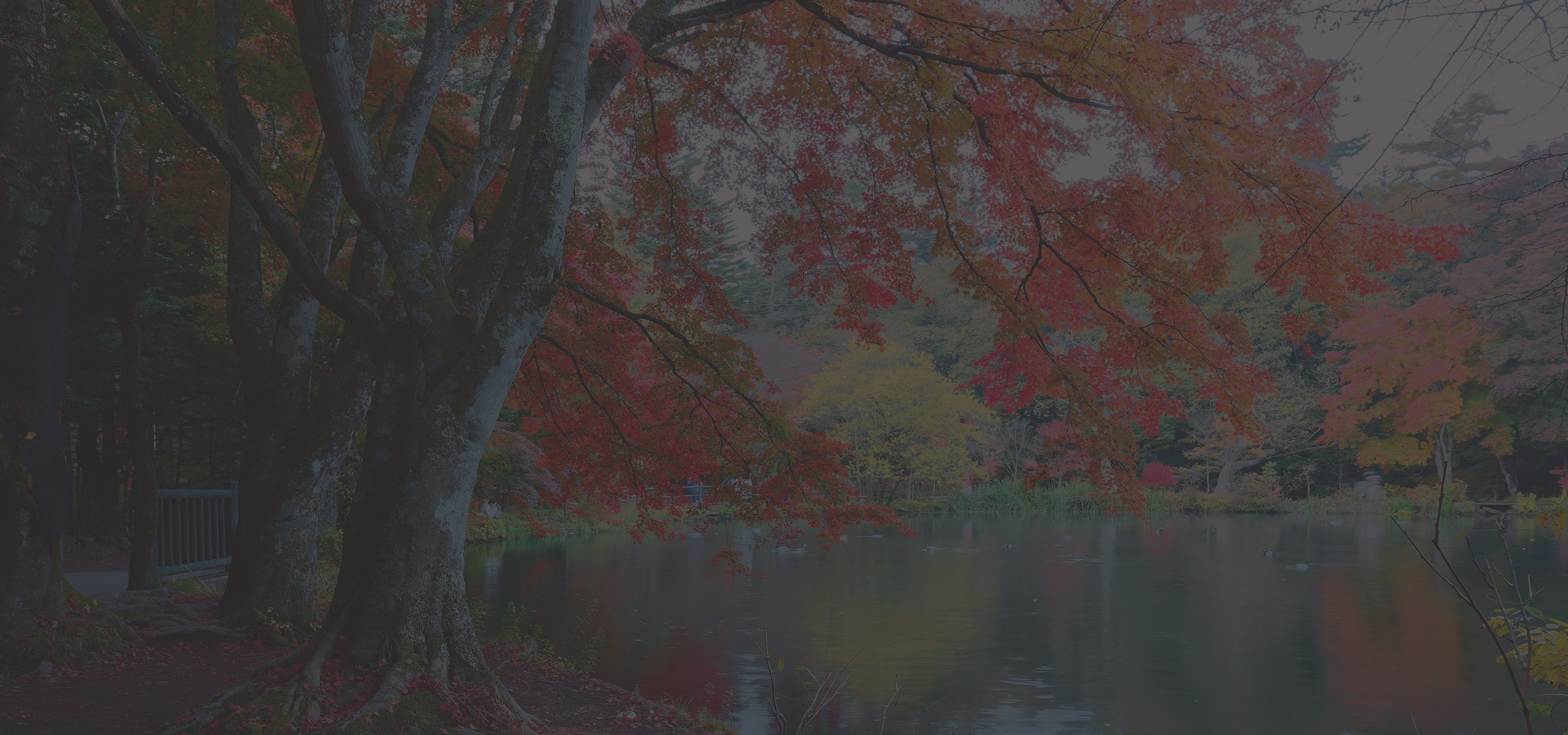 Contact us お問い合わせ