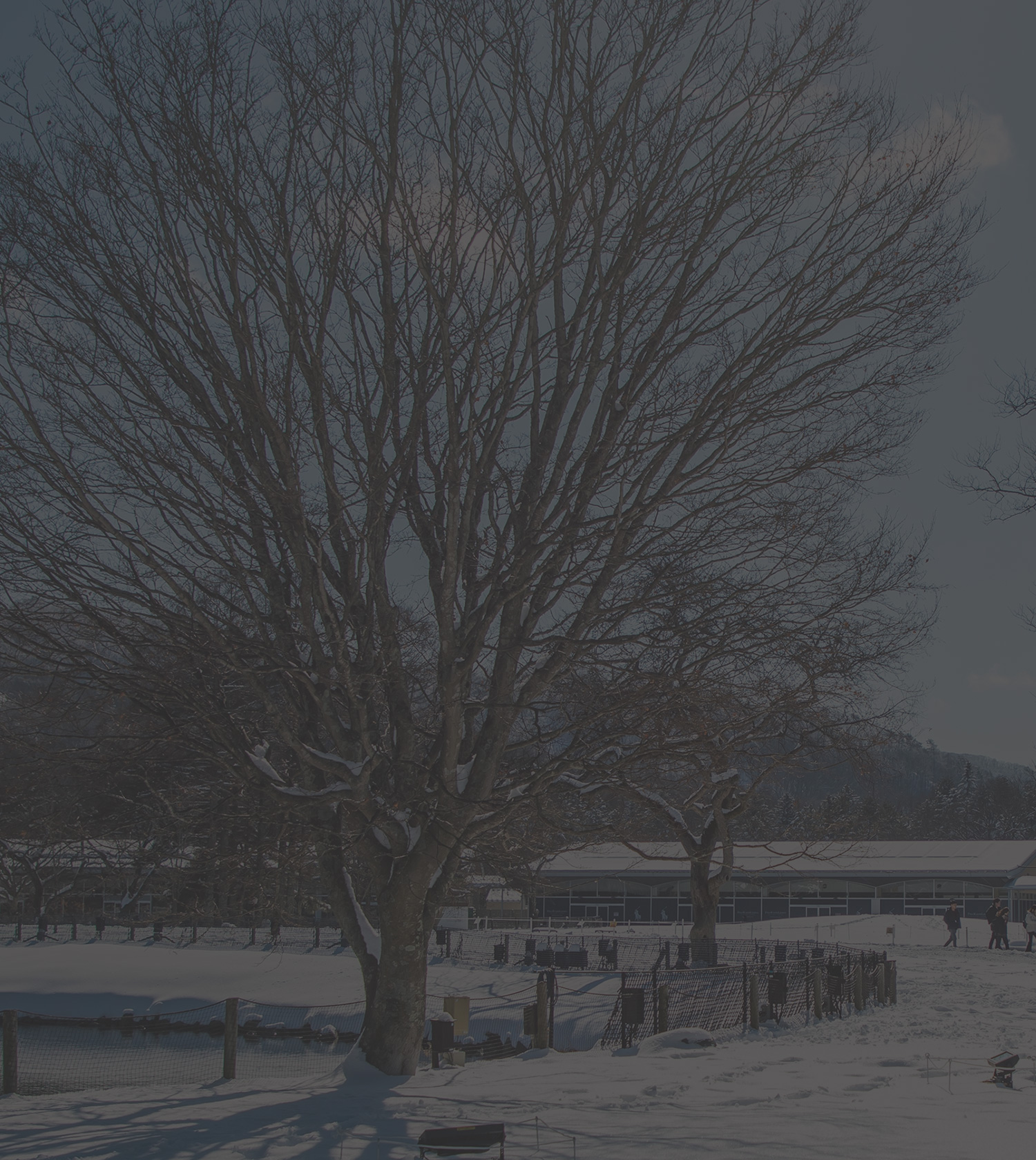 Contact us お問い合わせ